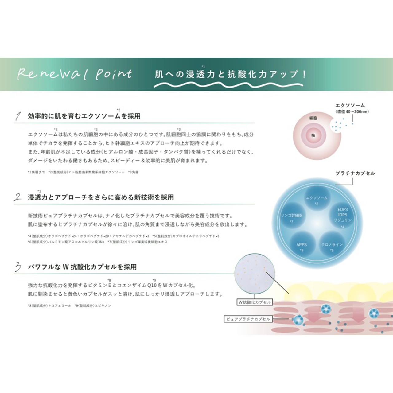 DOC SKINCARE No．4 コンセントレイトセラム | 美容商材